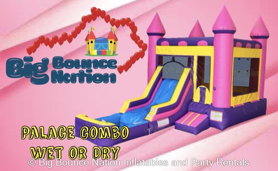 Bounce House With Slide Combo Best Hire service in Kentucky Big